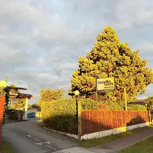 https://camellia-court-family-motel.rotoruahotelsnz.com