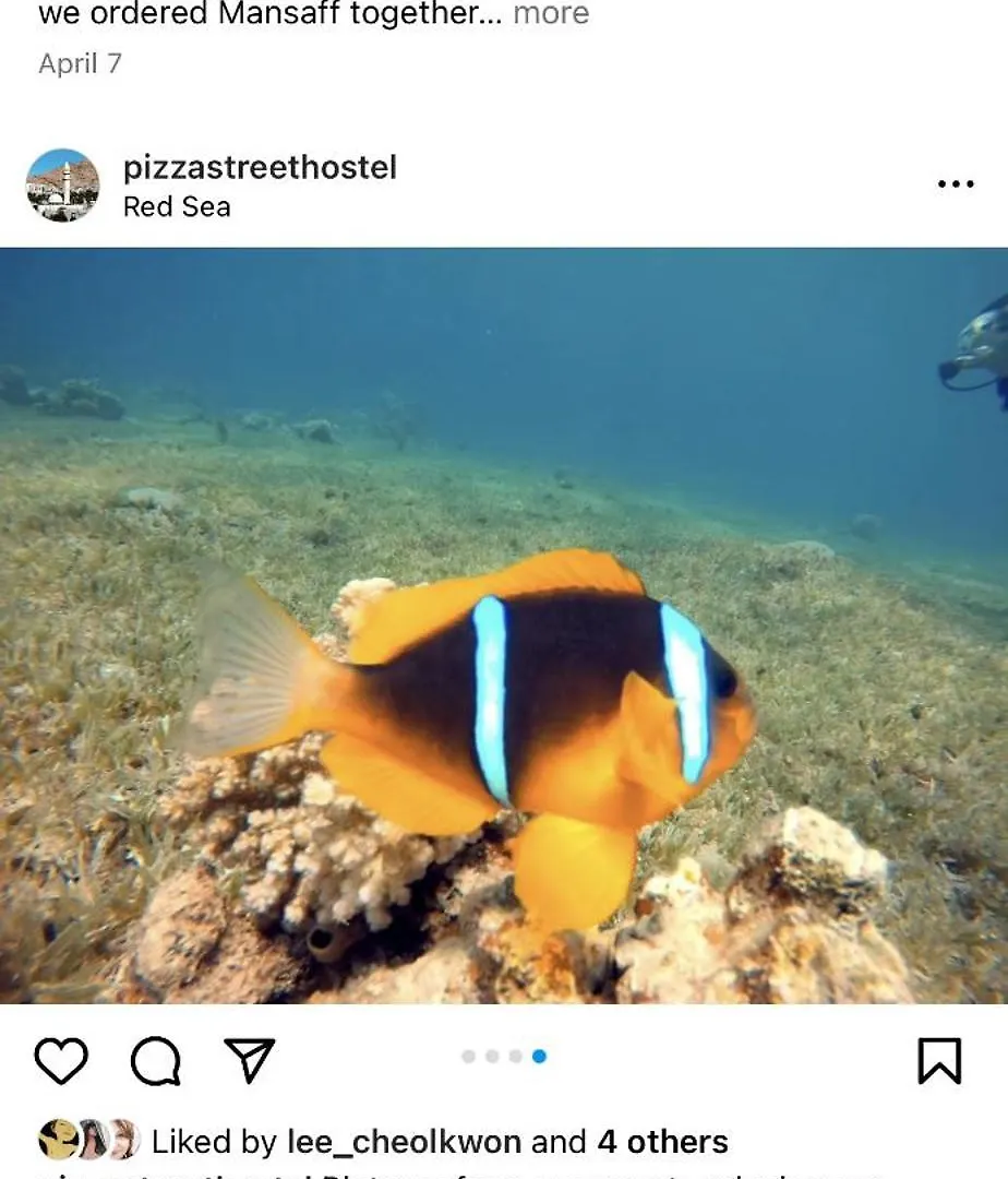 Pizza Street Hostel Aqaba